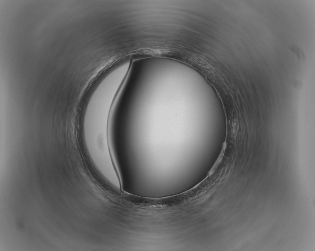 X0000113160304200909181817