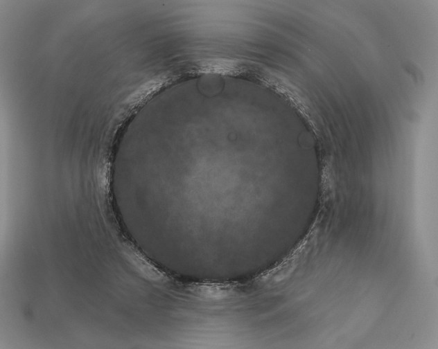 X0000113160305200909181817