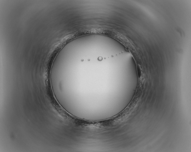 X0000113160306200909181817