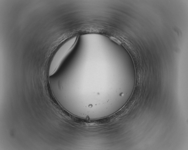 X0000113160309200909181817