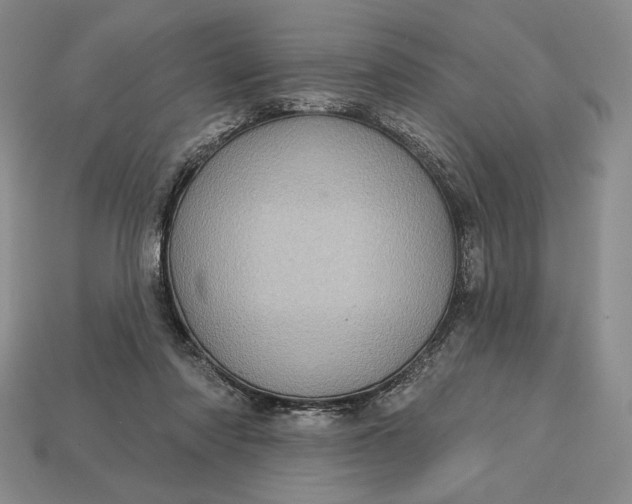 X0000113160310200909181817