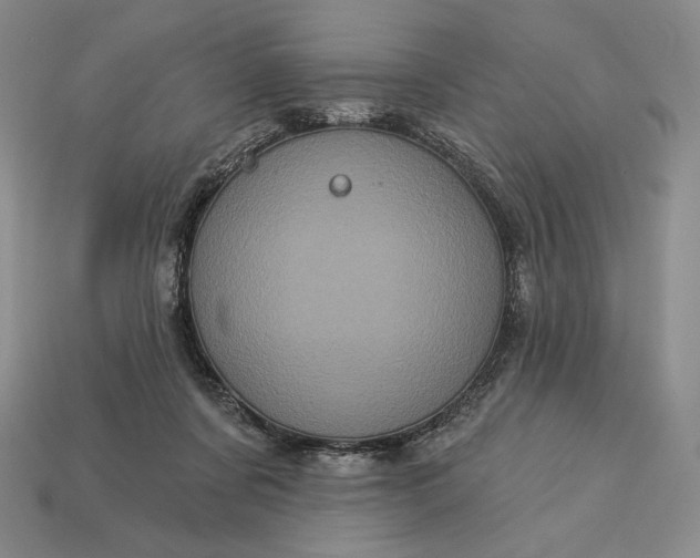 X0000113160311200909181816