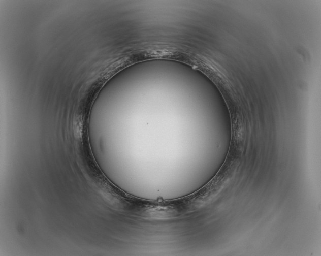 X0000113160315200909181816