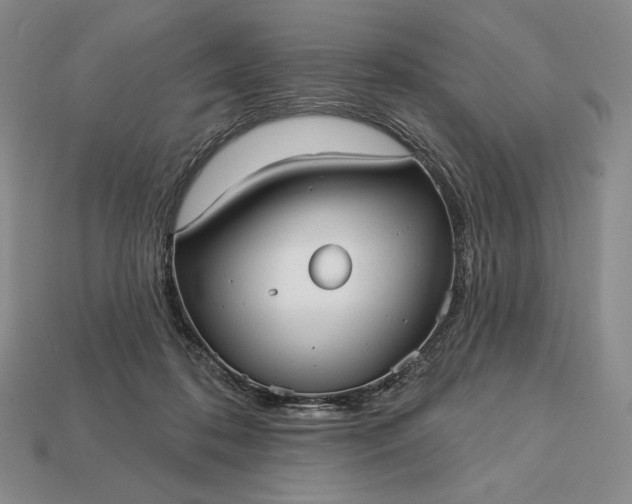 X0000113160316200909181816