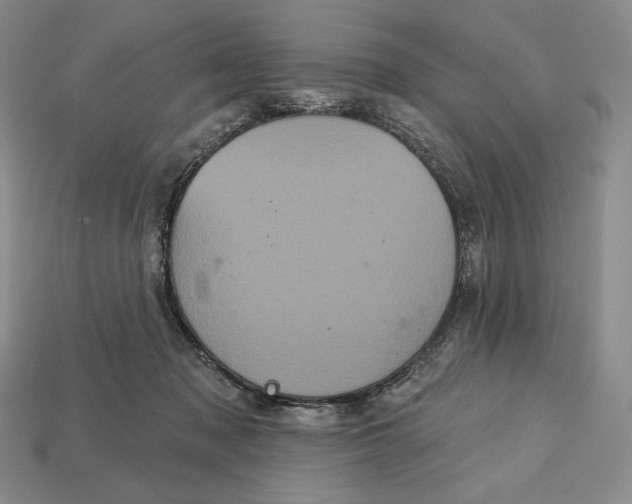 X0000113160317200909181816