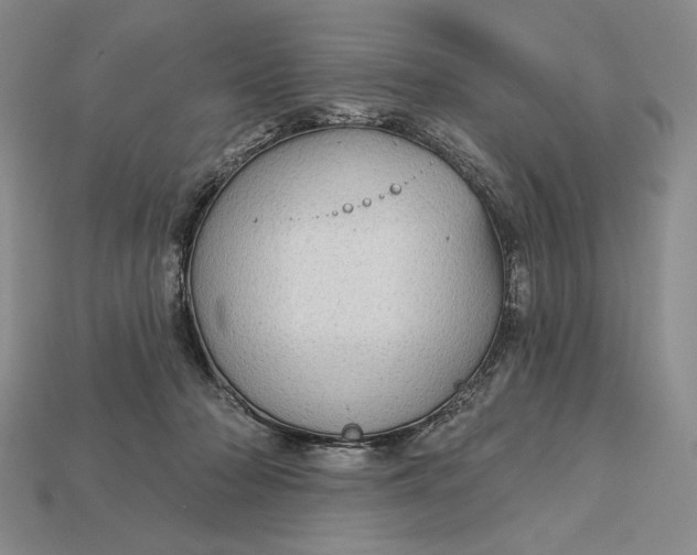 X0000113160318200909181816