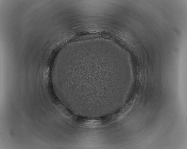 X0000113160319200909181816