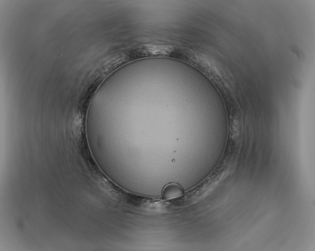 X0000113160321200909181816