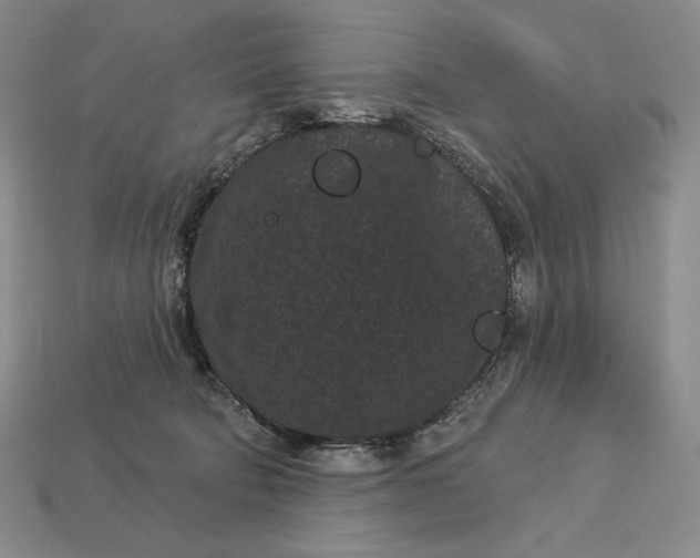 X0000113160322200909181816