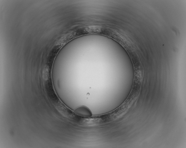 X0000113160323200909181816