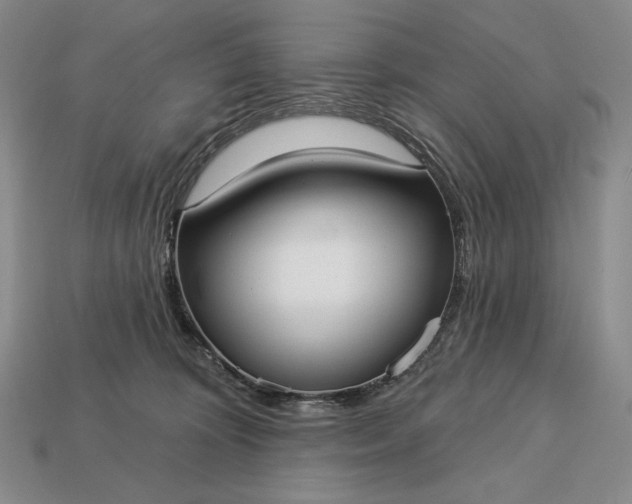 X0000113160324200909181816