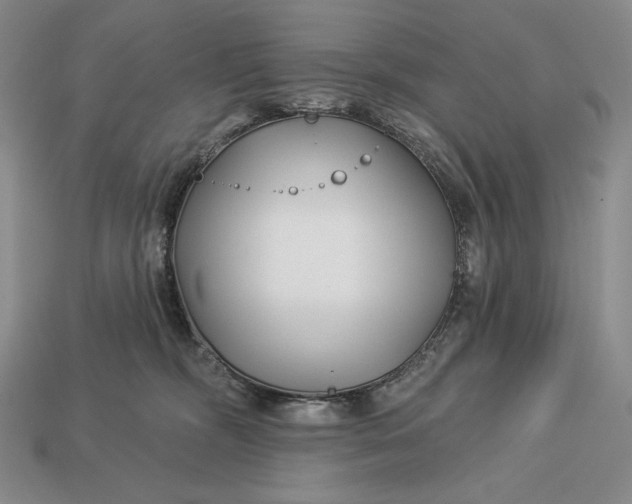 X0000113160326200909181816