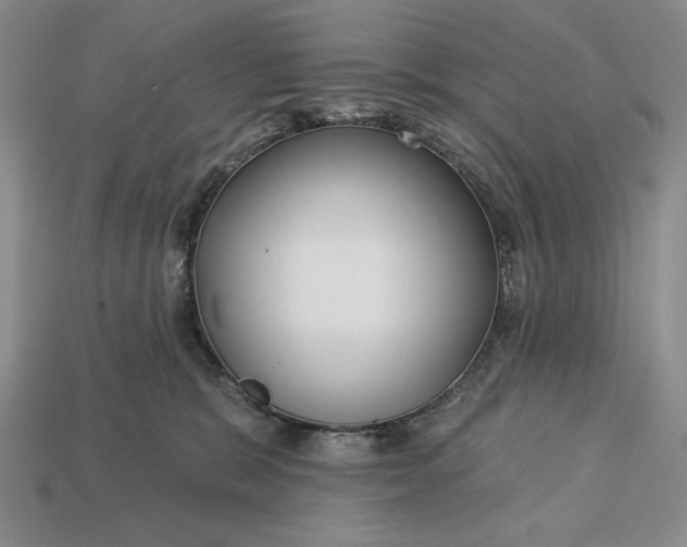 X0000113160327200909181816