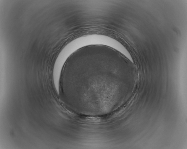 X0000113160328200909181816