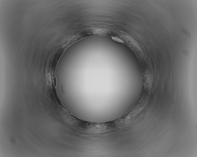 X0000113160329200909181816