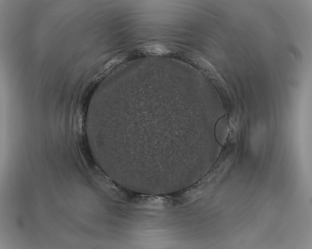 X0000113160330200909181816