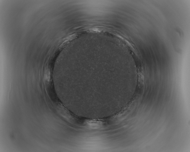 X0000113160331200909181816