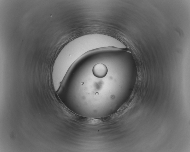 X0000113160333200909181816