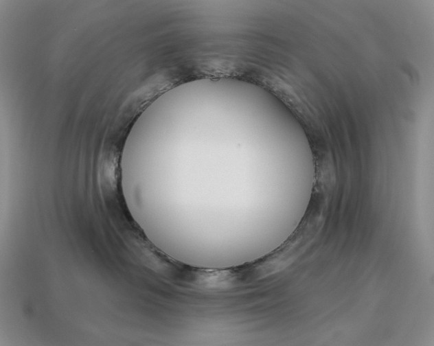 X0000113160334200909181816