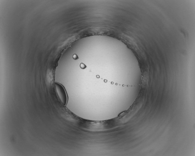 X0000113160335200909181816