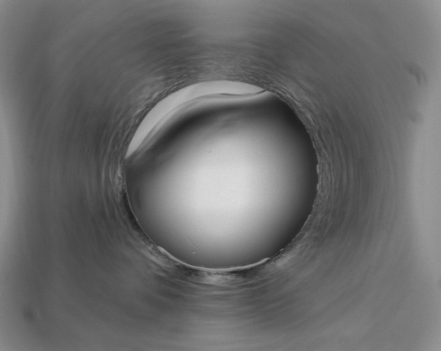 X0000113160336200909181816