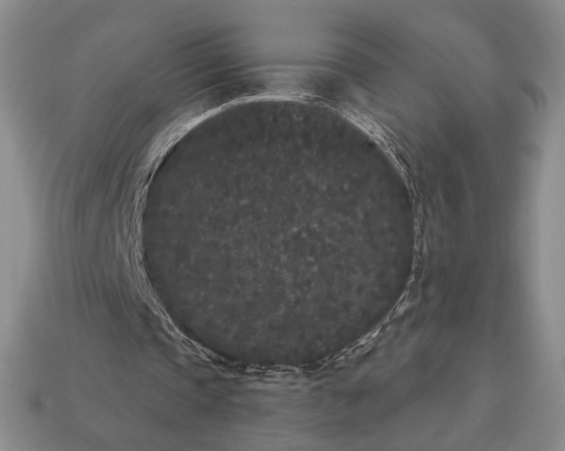 X0000113160337200909181816