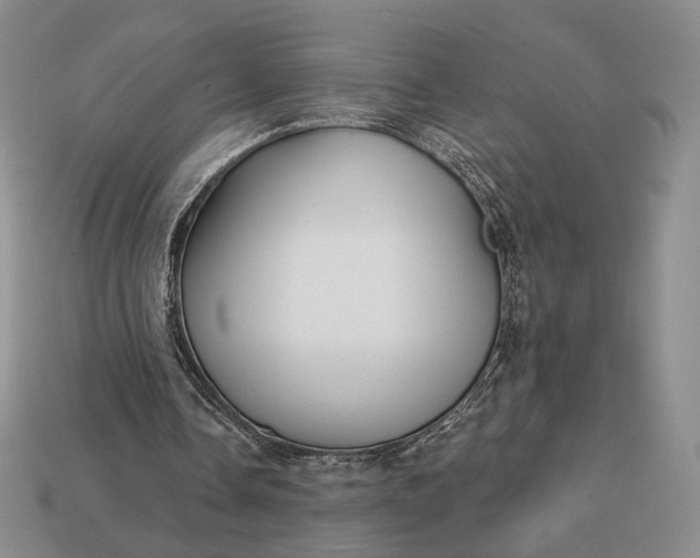 X0000113160338200909181816