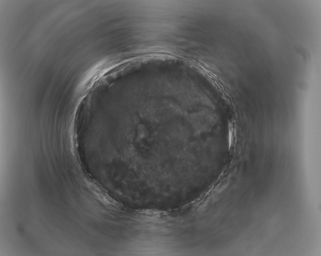 X0000113160339200909181816