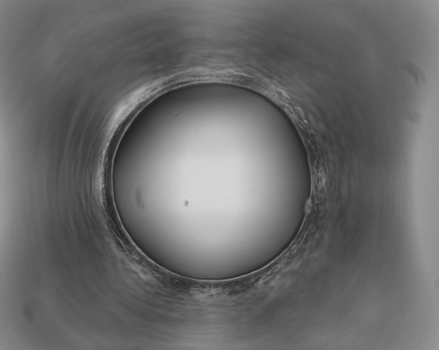 X0000113160340200909181816