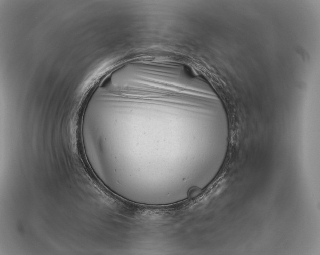 X0000113160341200909181816