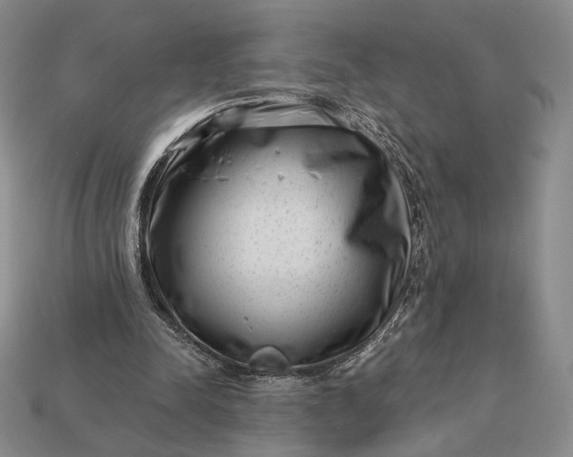 X0000113160342200909181816