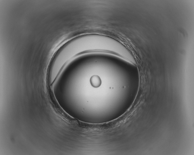 X0000113160344200909181816