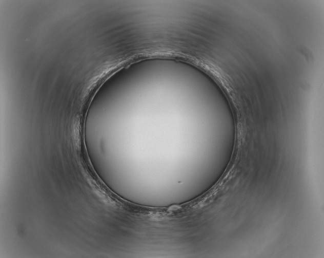 X0000113160345200909181816