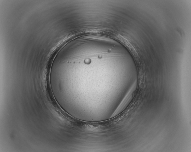 X0000113160346200909181816