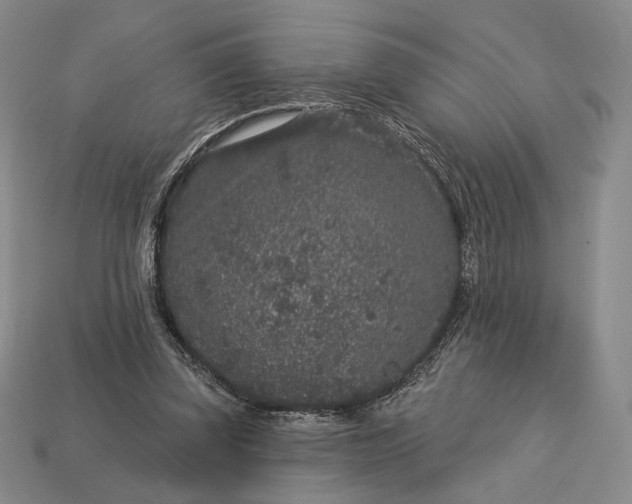 X0000113160347200909181816