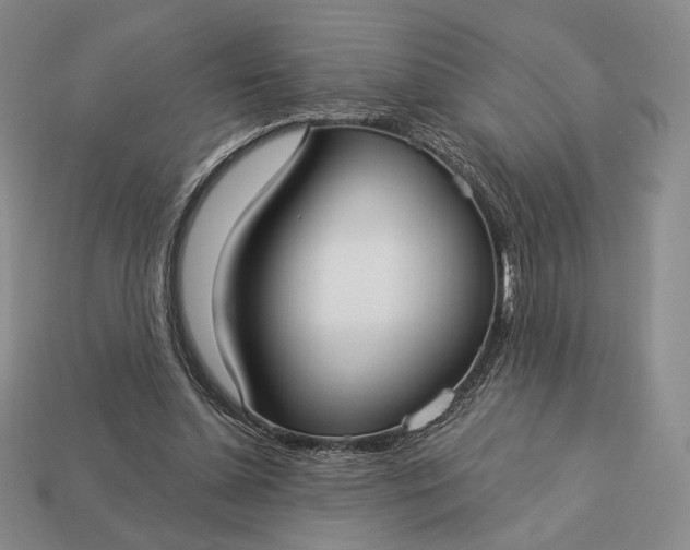 X0000113160348200909181816