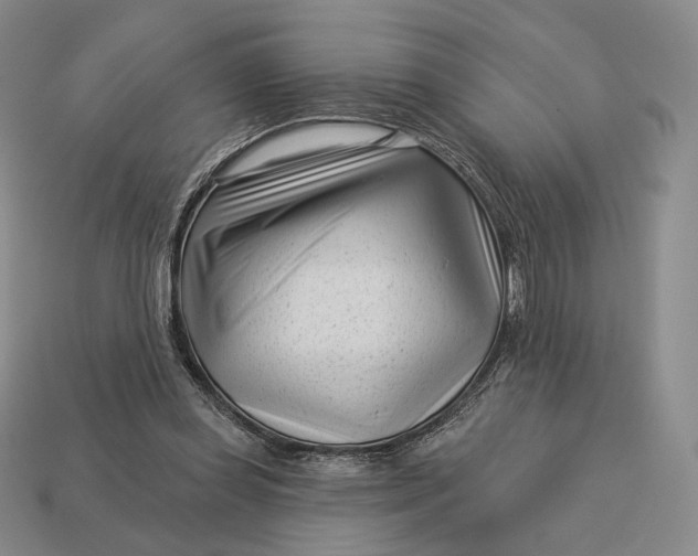 X0000113160349200909181816