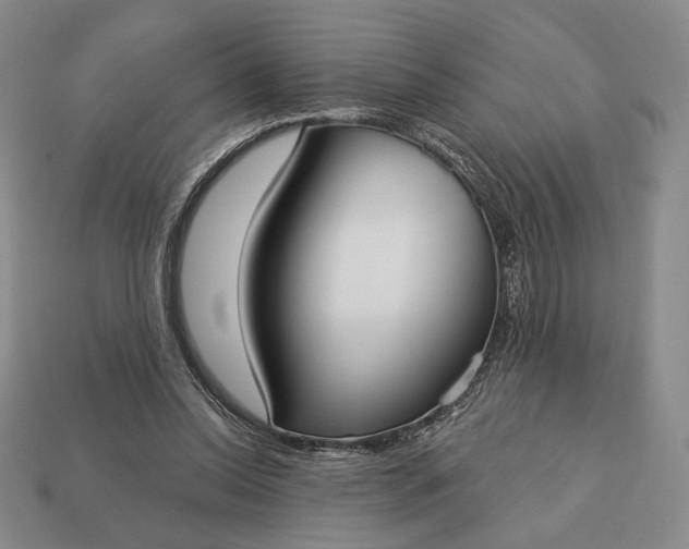 X0000113160350200909181816