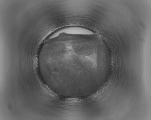 X0000113160351200909181816