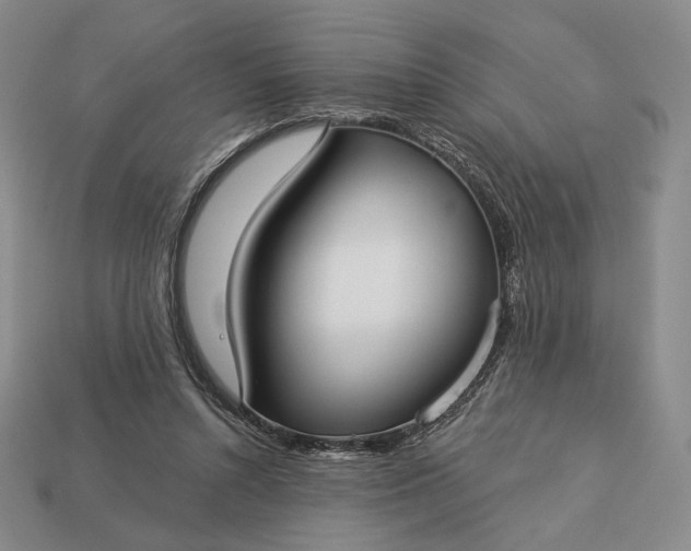 X0000113160352200909181816