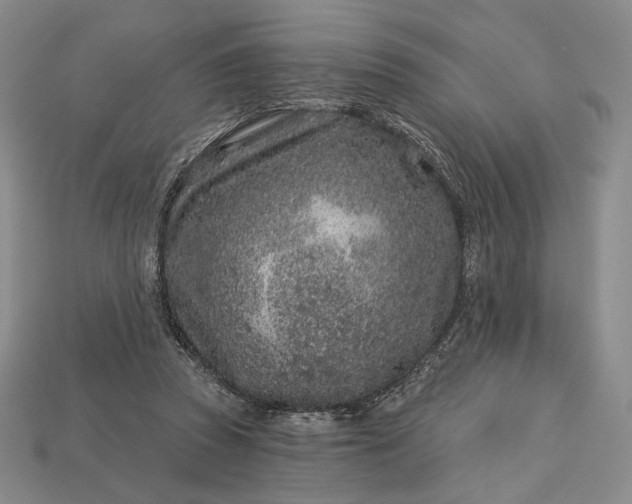 X0000113160353200909181816