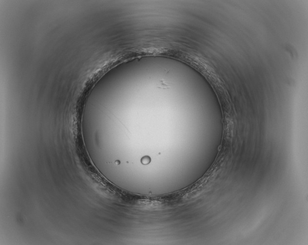 X0000113160354200909181816