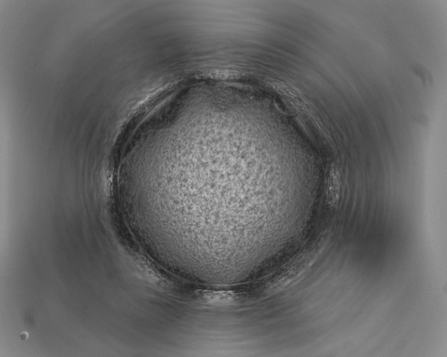 X0000113160355200909181816