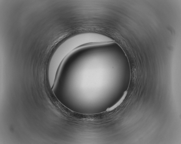 X0000113160356200909181816