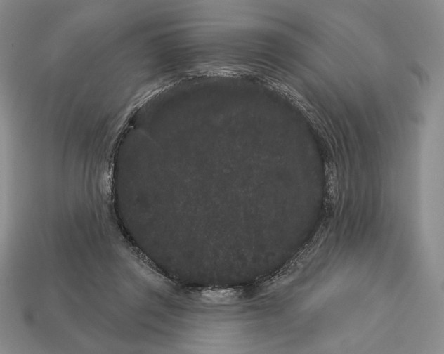 X0000113160357200909181816