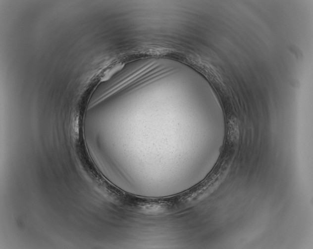 X0000113160358200909181816