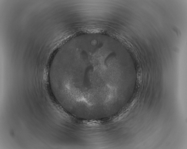 X0000113160359200909181816