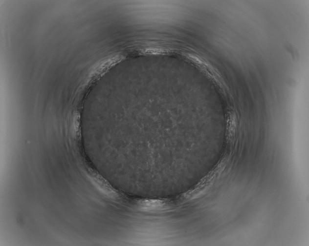 X0000113160361200909181816