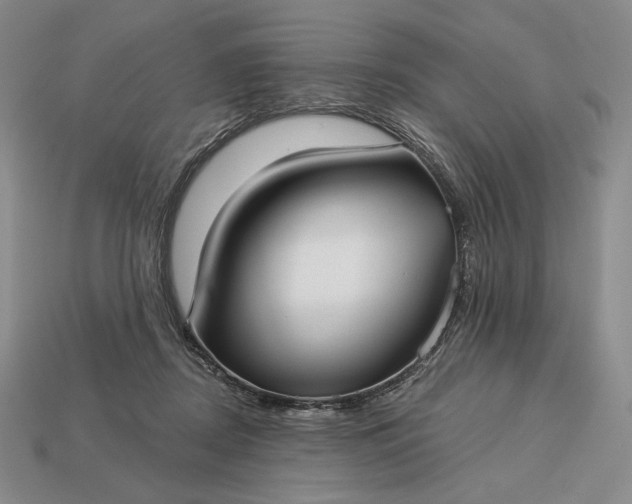 X0000113160362200909181816