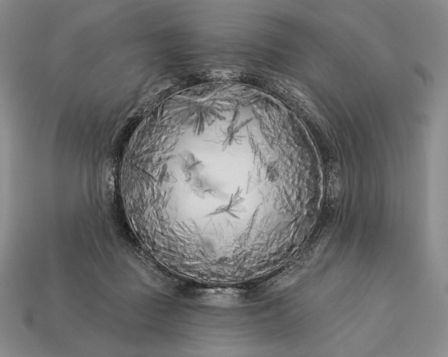 X0000113160363200909181816